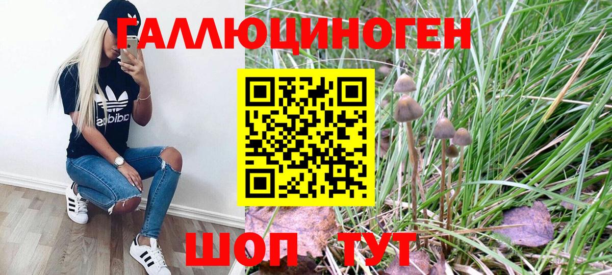 Галлюциногенные грибы Psilocybe  Вход с VPN  Псилоцибиновые грибы Psilocybine cubensis  купить   Воркута 